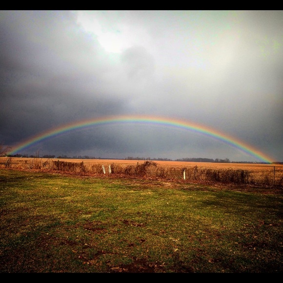 It’s all about the poshlove! - Picture 5 of 8